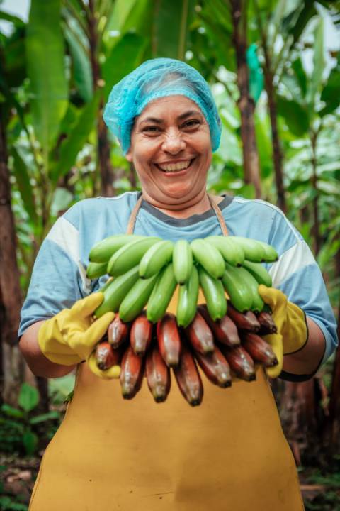 Mixed Bananas